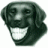 Bill Henry-