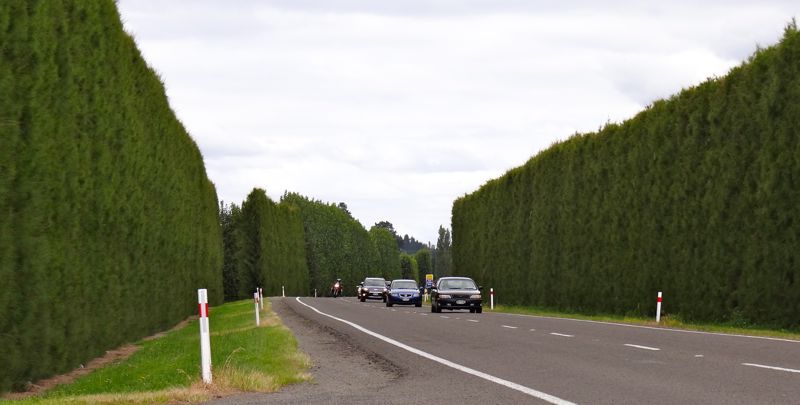 DSC02124.jpg